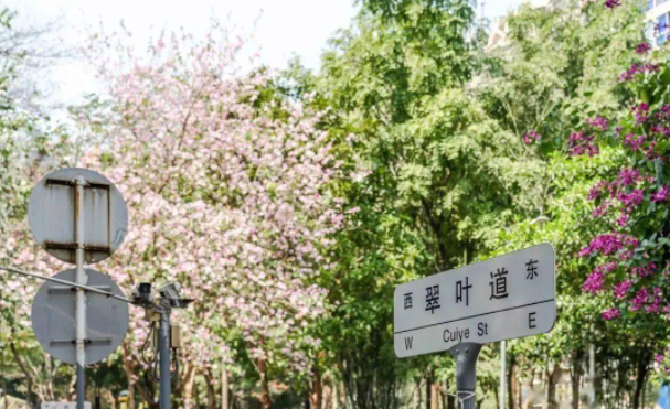 景田 宜居绿洲  品味人间繁华烟火气