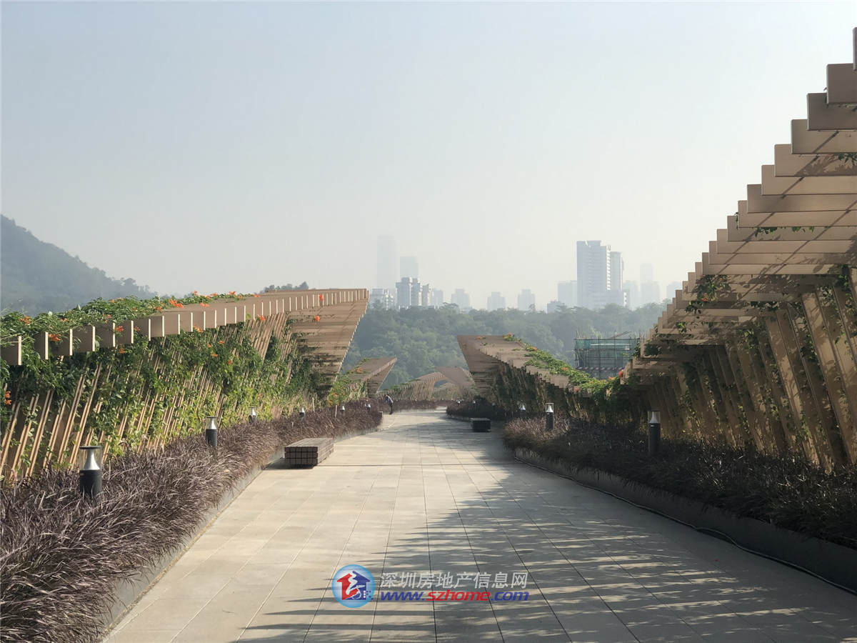 深圳楼盘实景图 - 商置网