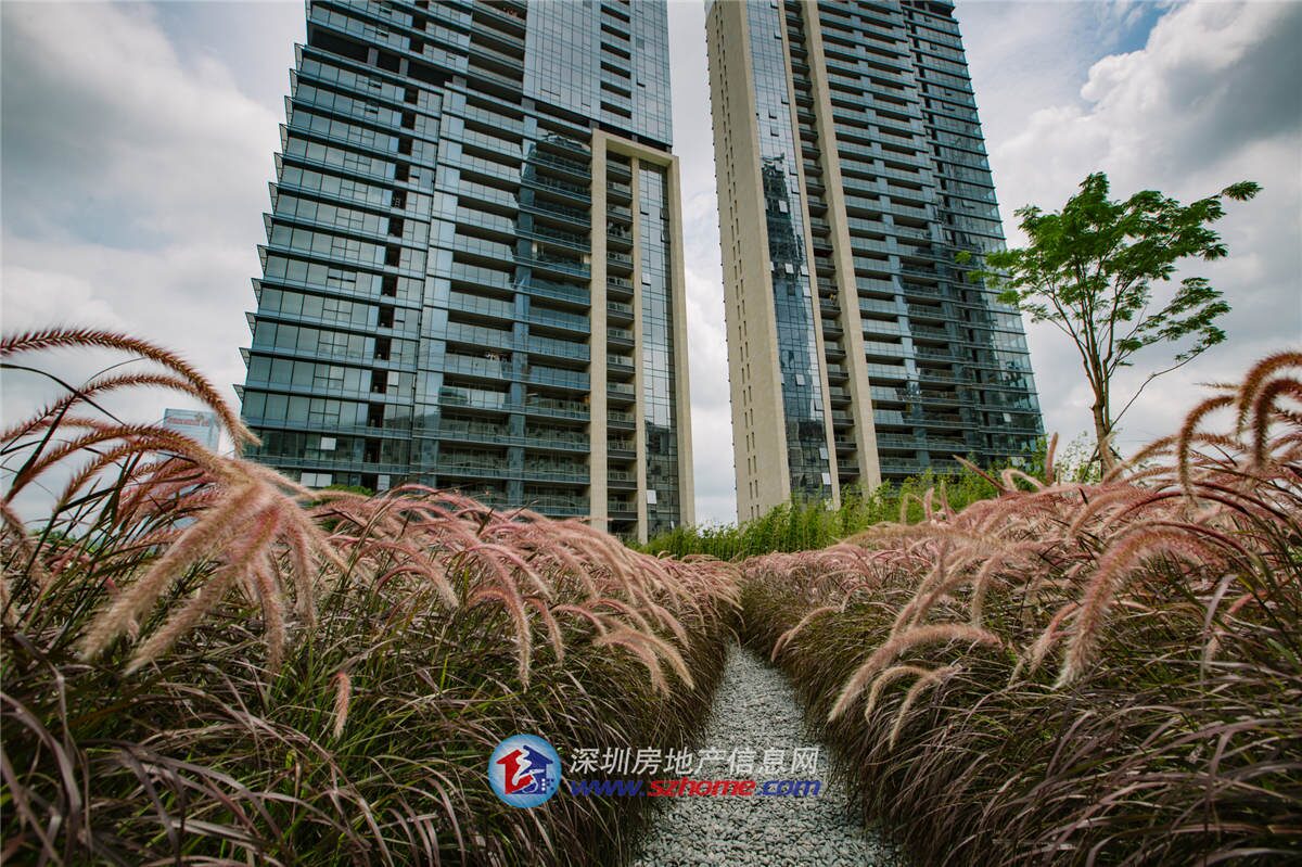 深圳楼盘实景图 - 商置网