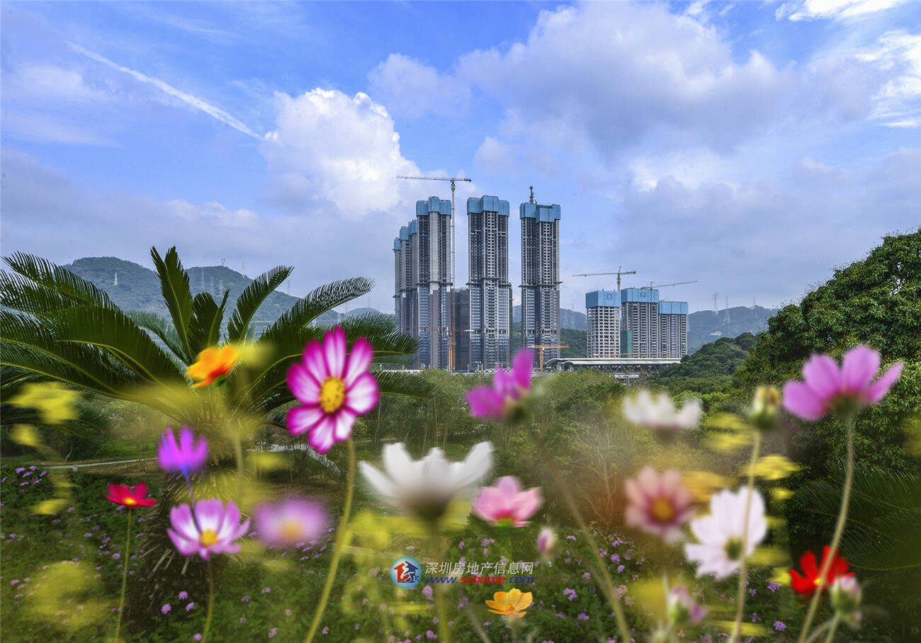 深圳楼盘实景图 - 商置网